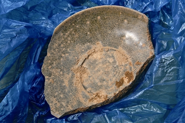 316գ걺ϪĹھһɵоµĻơ