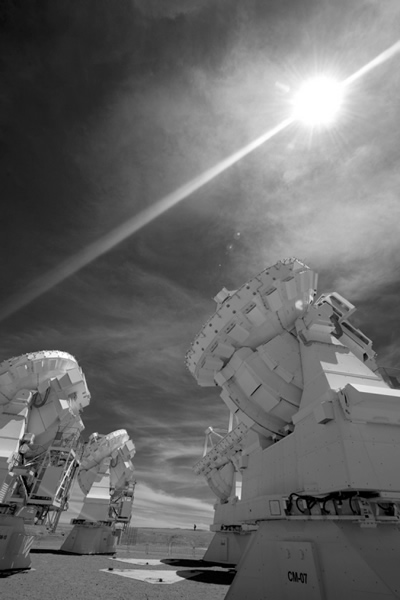 �����������ͺ��ײ�/�Ǻ��ײ�������