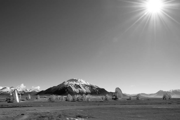 �����Զ�����������������ĸߵ���