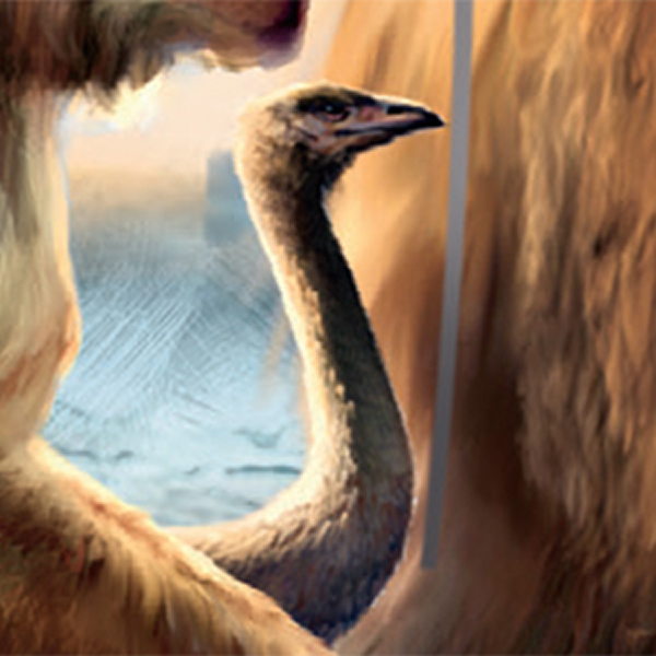 New Zealand giant moa