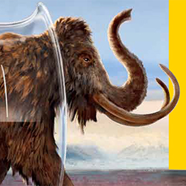 Woolly mammoth