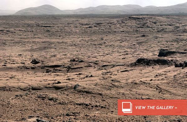 Could Earth Germs Colonize Mars?
