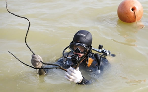 �й�����Ľ�󡱡���۶������ү��ˮ���ֳ���