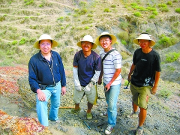 �ζ���ʯͷ���ҹ���