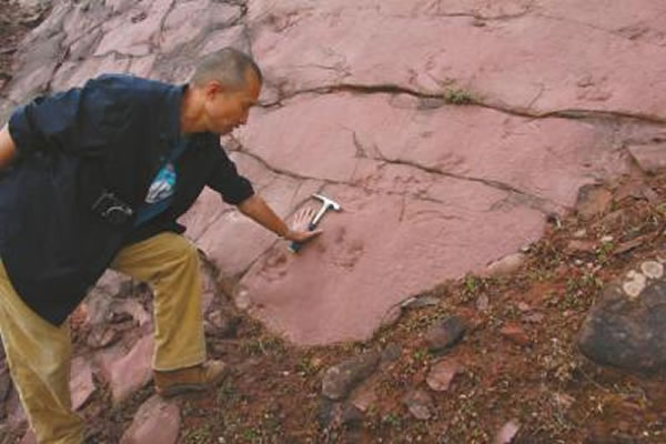 昭觉三比罗嘎新发现大量恐龙足迹化石