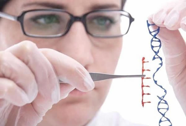 深圳BGI中心科学家已经收集了全球最聪明的2000人的DNA样本,并且对这些样本进行基因组排序