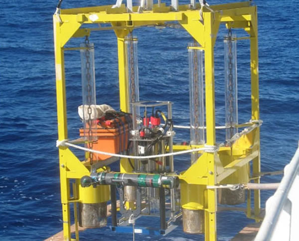 Microbes Thrive in Deepest Spot on Earth