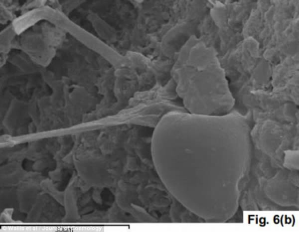 第一幅显微照片B点的放大照。论文指出显微照片展示的岩石来自于坠落斯里兰卡的陨石
