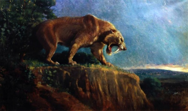 ���޽��ݻ�