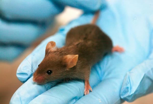 �����о����ֹ��󲢷������Ĵȸ�