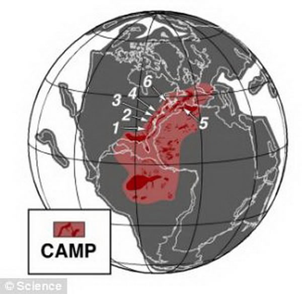 ٪�޼������ڰ�鹹����ʾ�������в��ҽ�����(CAMP)�ķֲ������������ɽ�緢��Լ������2����ǰ��