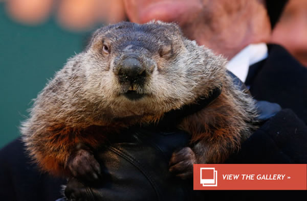 The Groundhog Lied! Early Spring Shows Cold Shoulder