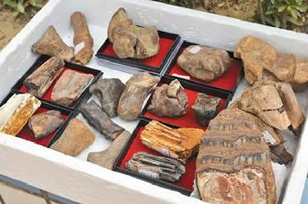 ̨����������������ḻ�����໯ʯ