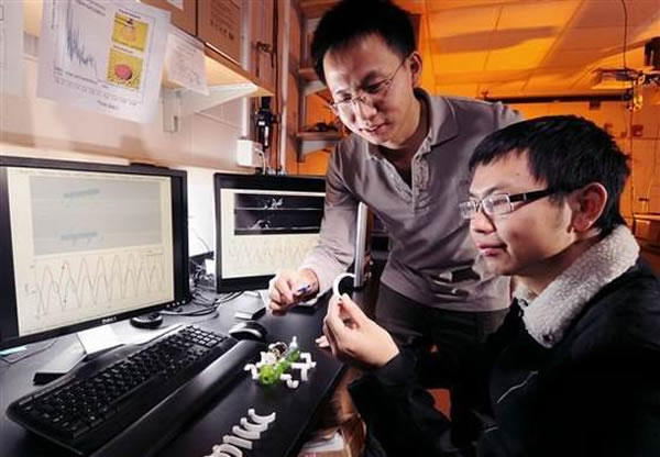 �о���Ա��Ƶ�����6�Ȼ������㲿����C״�ṹ