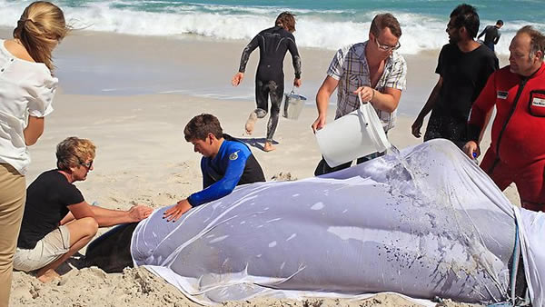 19ͷ��ͷ�����Ϸǿ��նظ�ǳ