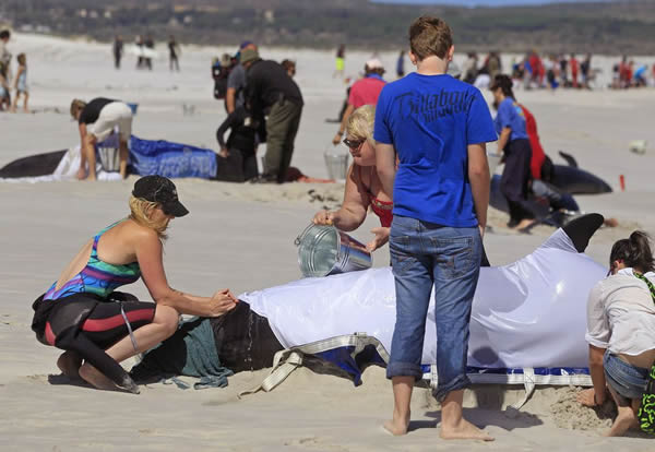 19ͷ��ͷ�����Ϸǿ��նظ�ǳ