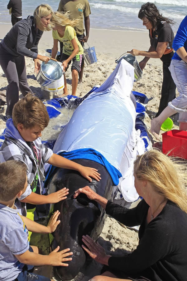 19ͷ��ͷ�����Ϸǿ��նظ�ǳ