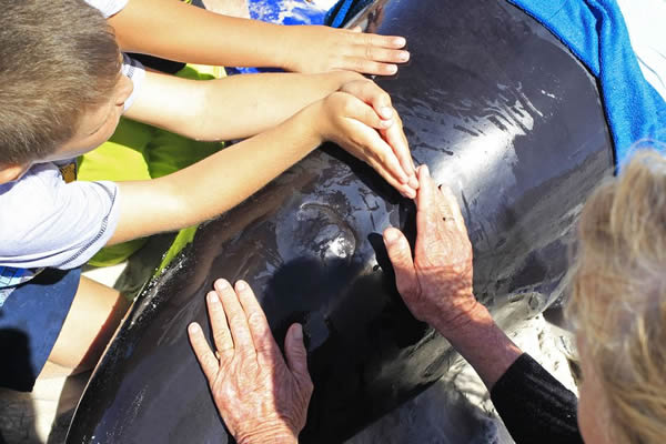 19ͷ��ͷ�����Ϸǿ��նظ�ǳ