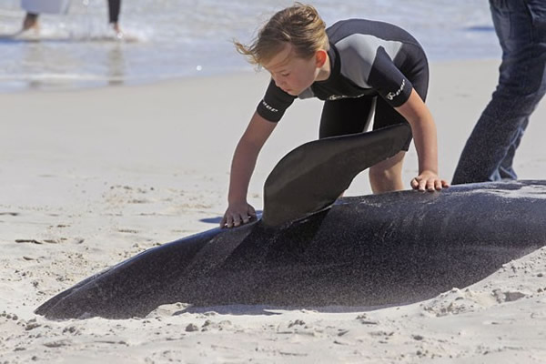 19ͷ��ͷ�����Ϸǿ��նظ�ǳ