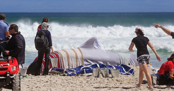 19ͷ��ͷ�����Ϸǿ��նظ�ǳ