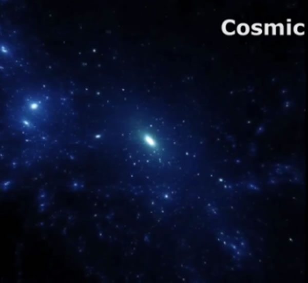 ����ϵ��ʧ֮��