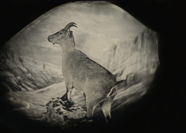 Bringing Them Back to Life