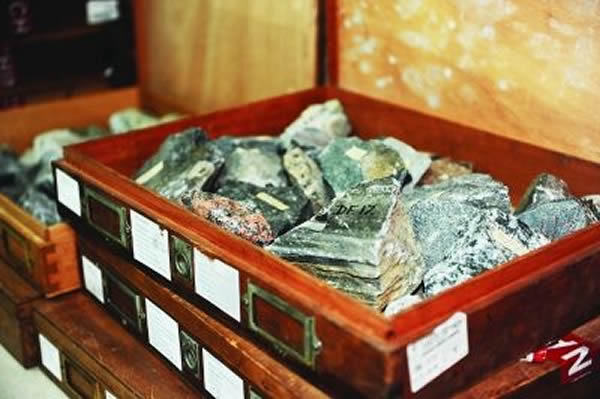 ��������������ר�ҽ������ɼ�����ʯ�걾�������й����ʴ�ѧ