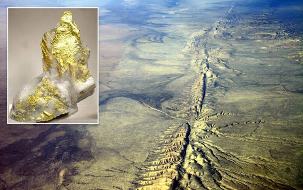 �����öϲ���洢�ƽ�