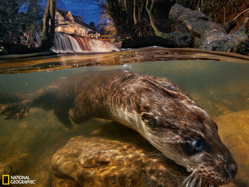 Ӣ����������ŷ��ˮ̡Ѱ������