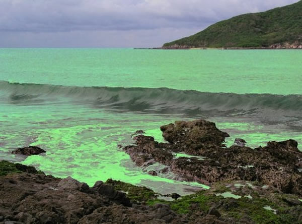 科学家发现5亿至7亿年前的地球海洋中存在有毒硫化物,抑制复杂生命的诞生