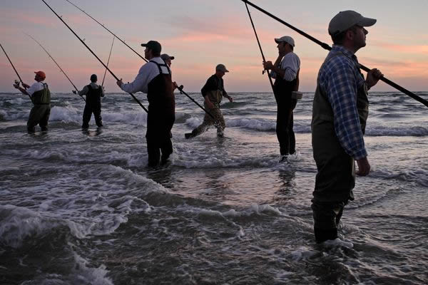 Surf fishermen try their luck for bluefish off Cape Hatteras, North Carolina.