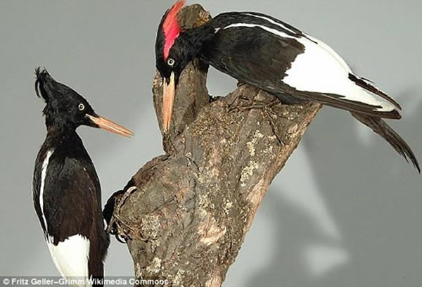 �������ľ���������������ϲ���������40�����֤ʵ�����ʧ