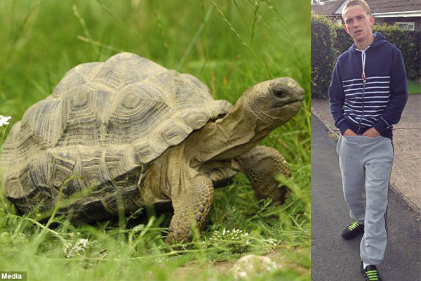 Ӣ����������͵��ϡ�ڹ����