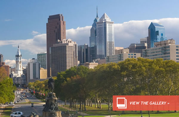 Trees Fight Crime in Philly