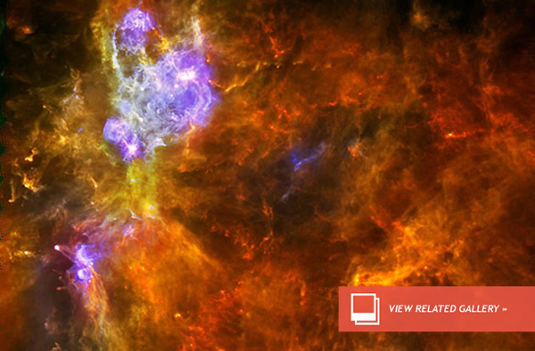 Fattest Stars are Force-Fed at an Early Age