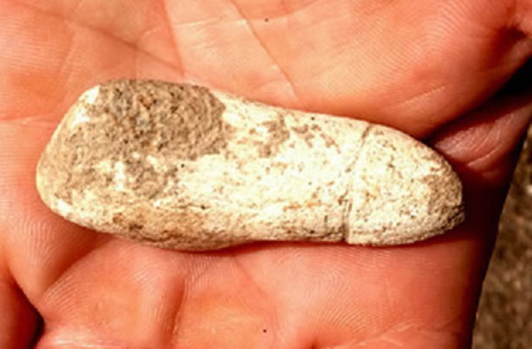 This phallic figurine was unearthed during excavations in northern Israel.