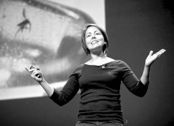 ���������������������������ֱ�������ƻ�