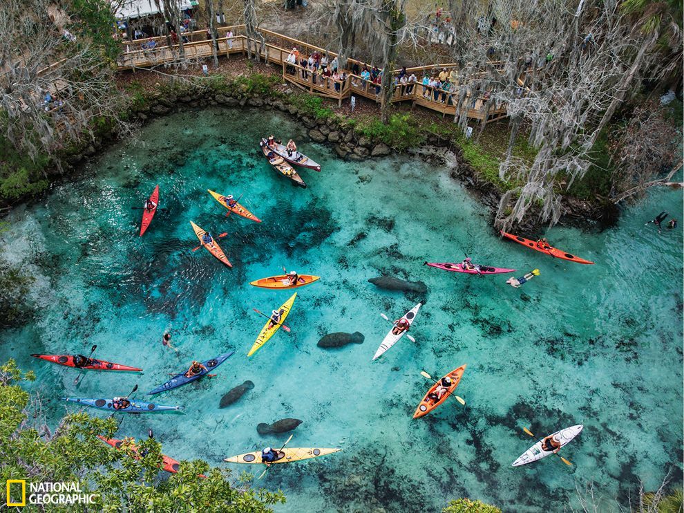 �������������������Ȫ�еĶ�ľ���뺣ţ