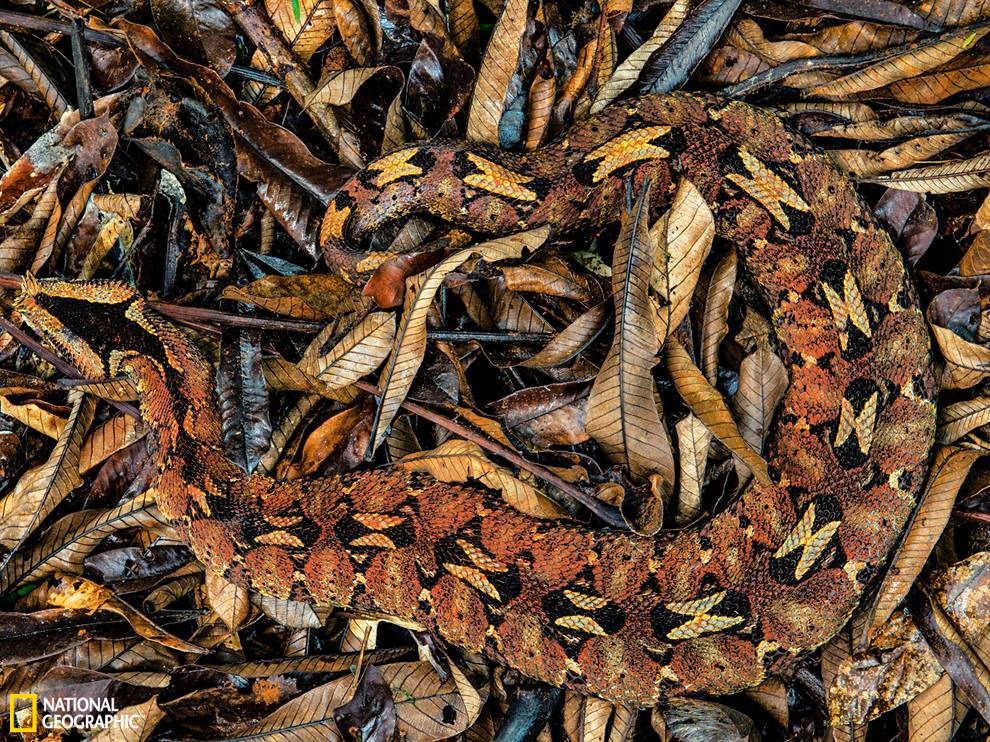 ����¡Ϭ����