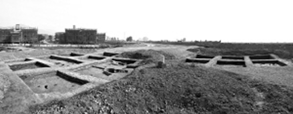 兰家村遗址考古发掘现场全景