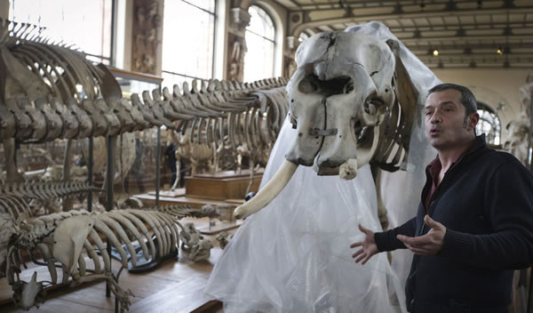 ����������Ȼ��ʷ������������и����