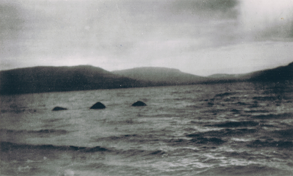 露出背脊的尼斯湖水怪