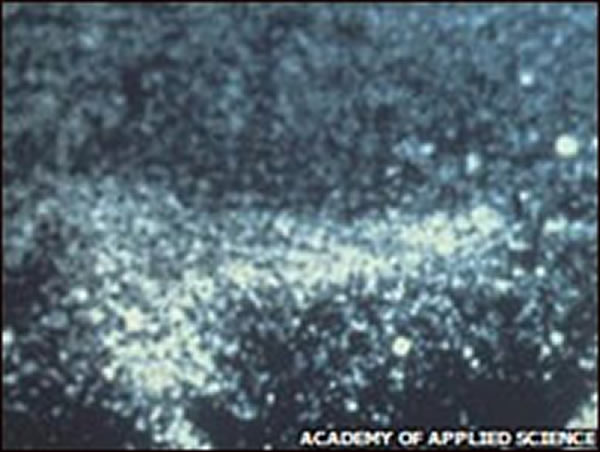 湖底声纳捕捉到的疑似尼斯湖水怪图像