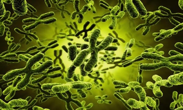 ÿ��ϸ�����Ѳ�����ϸ��ʱ�������ͻ��̣�ֱ������ʧȥ���ԡ�