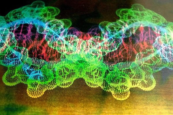 Miinome��˾�����ƽ̨�ܹ����������߹��������̸������ǵĻ�������ṩ����Ʒ