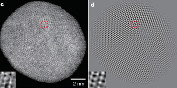 ������΢����3D�ؽ�