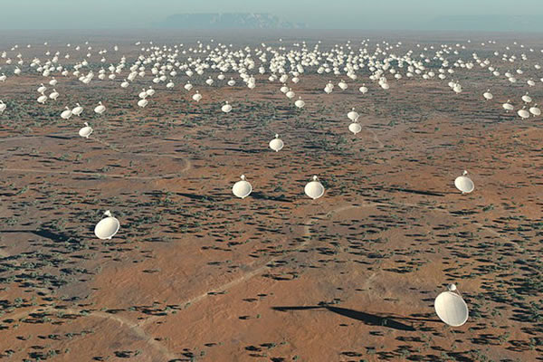 �ֲ���Ϊ�㷺��ƽ��ǧ���������Զ��