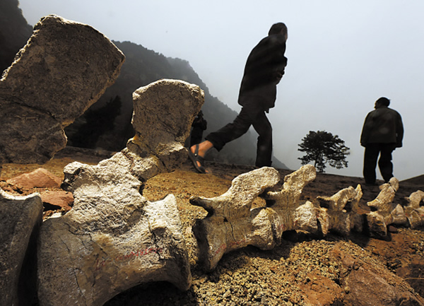 与恐龙化石生活在一起的村民