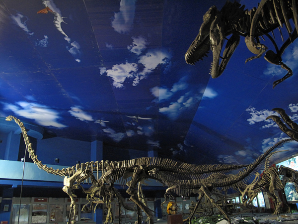 “白垩纪恐龙生活世界展”中暴龙紧追恐龙群