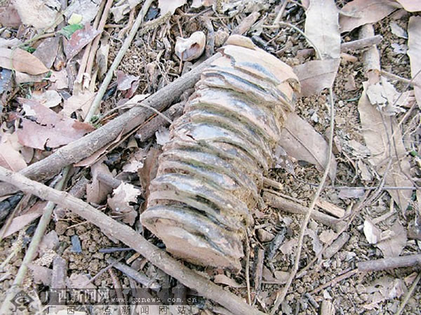 ����һ���Ĵ���